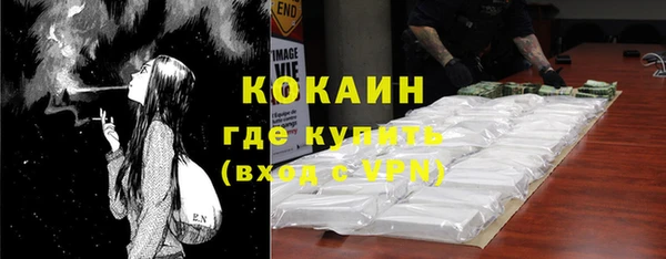 шишки Беломорск