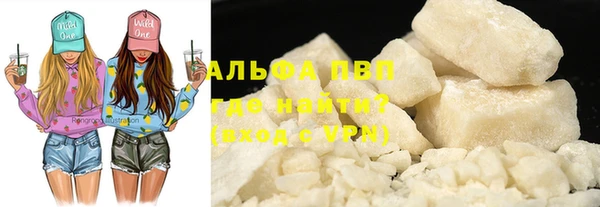 шишки Беломорск
